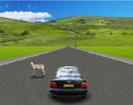Action driving game kocsis játékok